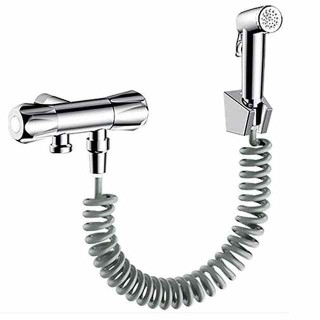 ABS Bidet Faucet Electroplated Toilet Handheld Bidet Sprayer Self-Cleaning Contemporary