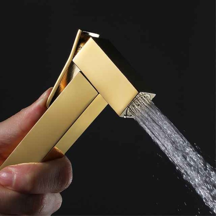 Single Hole Bidet Electroplated Toilet Handheld Bidet Sprayer Self-Cleaning Contemporary