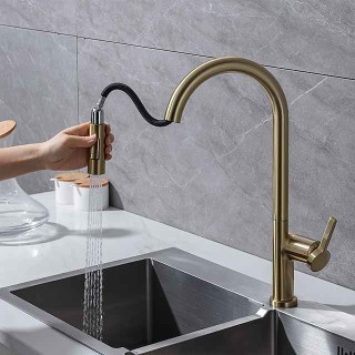 Kitchen Faucet with Pull-out Spray,Single Handle One Hole Brass High Arc 2-modes 360°Rotatable Modern Contemporary Kitchen Taps