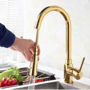 Kitchen faucet - Single Handle One Hole Electroplated Pull-out / Pull-down Centerset Modern Contemporary Kitchen Taps