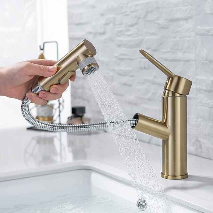 Bathroom Sink Mixer Faucet Pull Out Sprayer 2 Mode Spout with Stop Button, Single Handle Washroom Basin Taps Mono with Cold and Hot Hose Chrome Black Golden